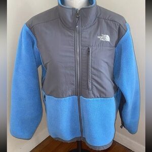 The North Face Blue and Gray Teddy Jacket